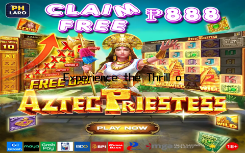 Experience the Thrill of GGPoker Slot Games Today